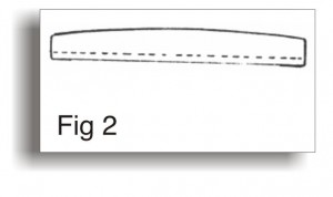 Bdgfig2